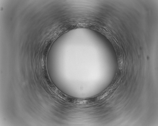 X0000059240472200510140825