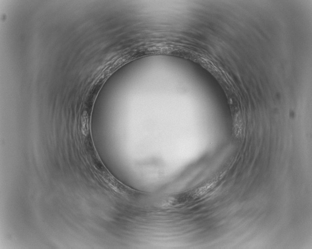 X0000059240474200510140825