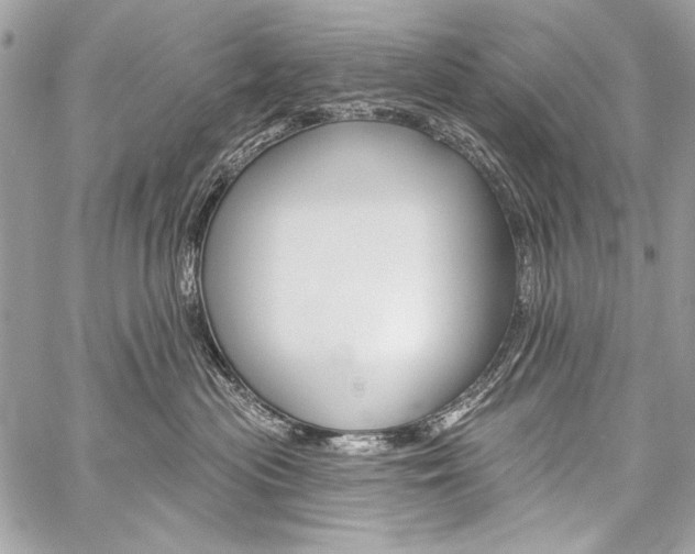 X0000059240477200510140825