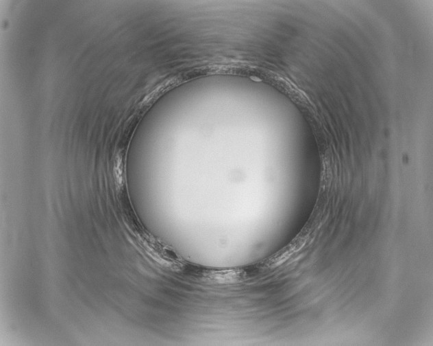 X0000059240479200510140825