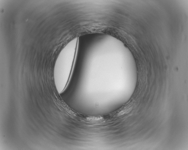 X0000059240480200510140825