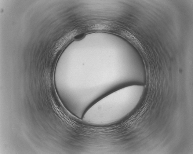X0000059240482200510140824