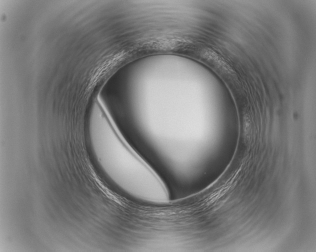 X0000059240493200510140824