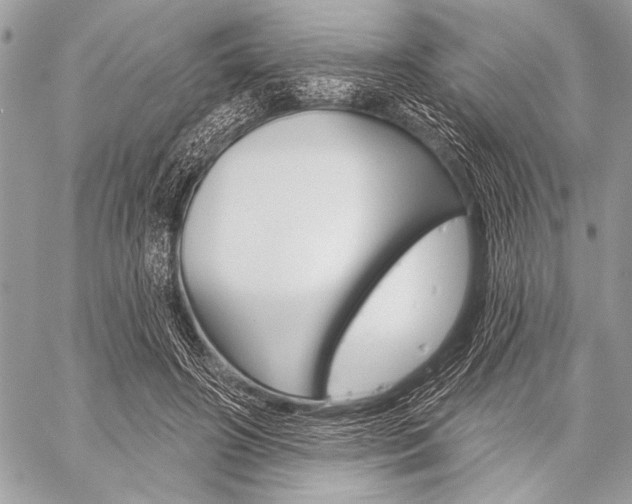 X0000059240498200510140824