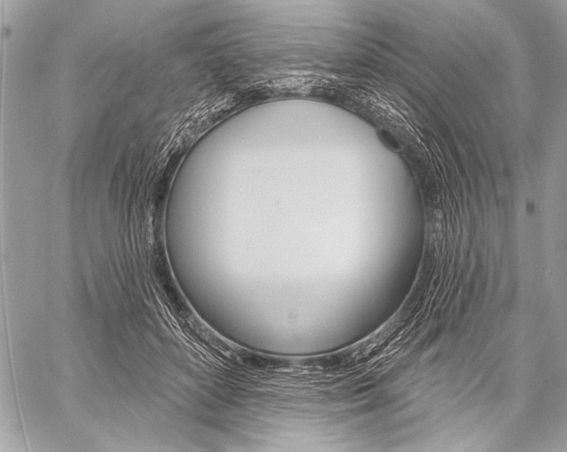 X0000059240504200510140824