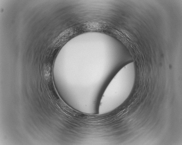 X0000059240507200510140824