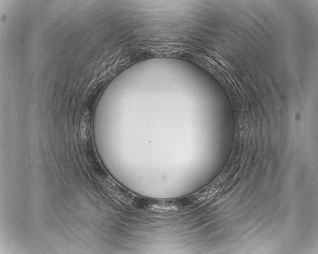 X0000059240515200510140823