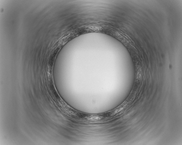 X0000059240518200510140823