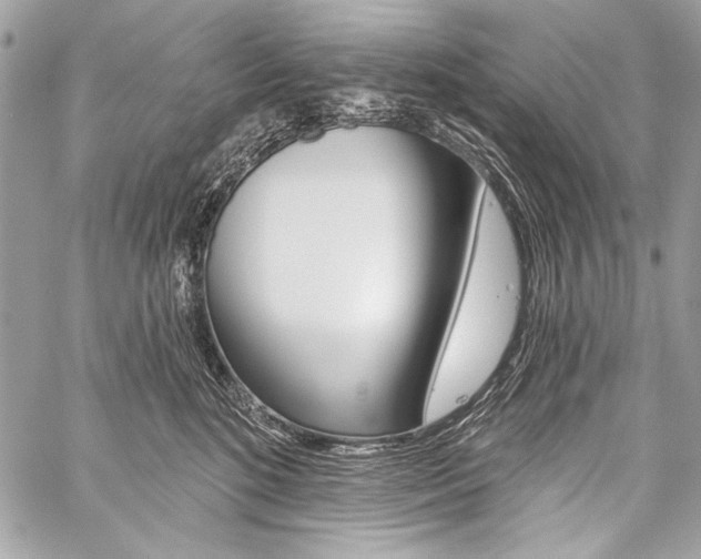 X0000059240520200510140823