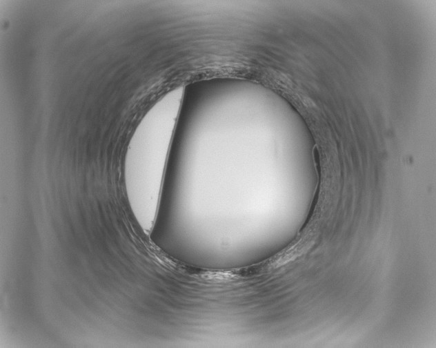 X0000059240528200510140823
