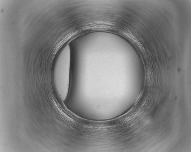 X0000059240533200510140823