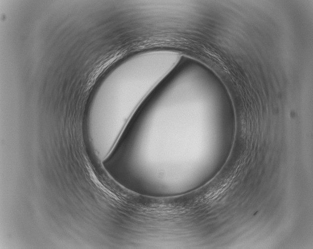 X0000059240538200510140823