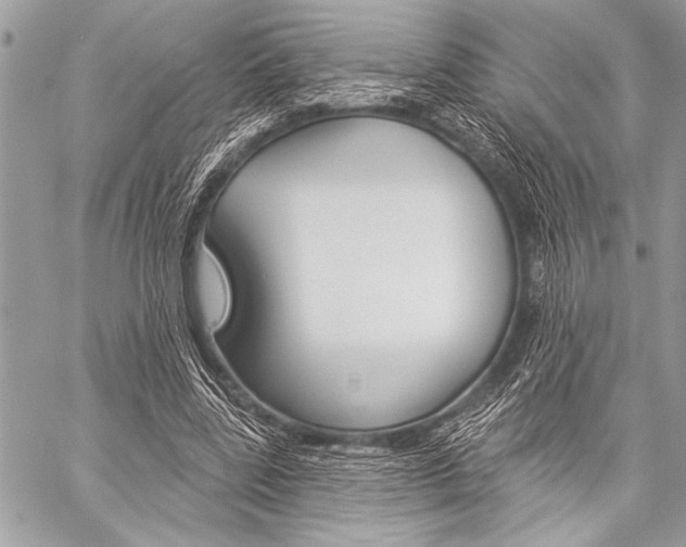 X0000059240539200510140823