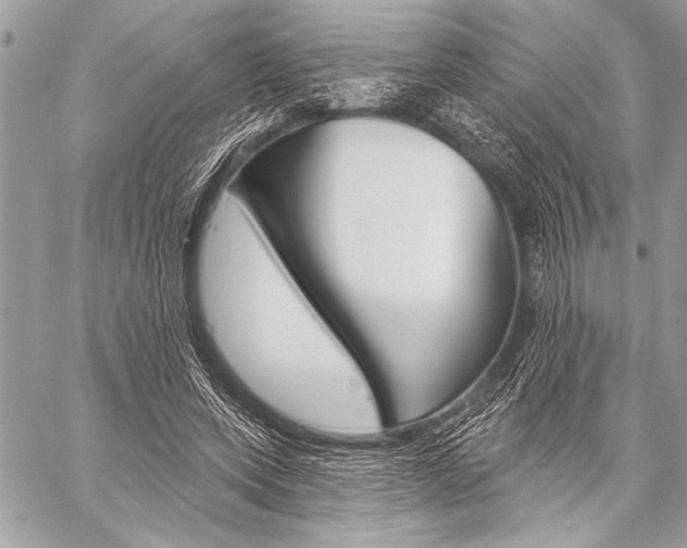 X0000059240543200510140823
