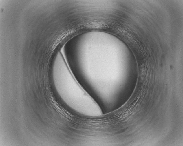X0000059240544200510140823