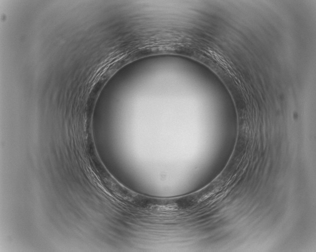 X0000059240548200510140823