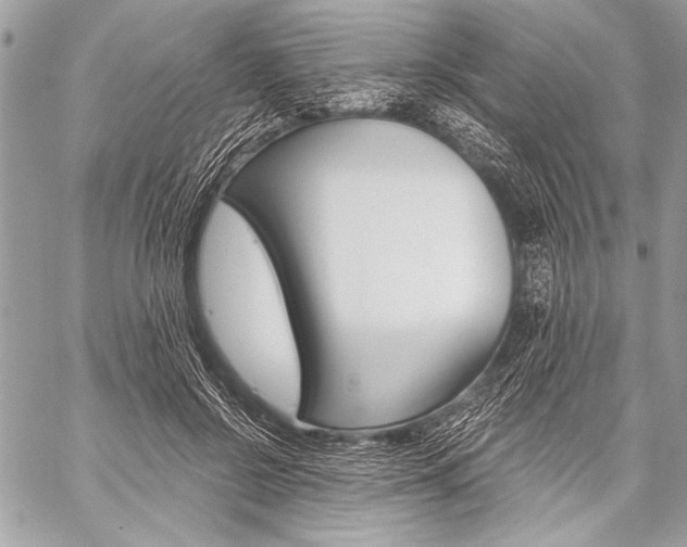 X0000059240550200510140823