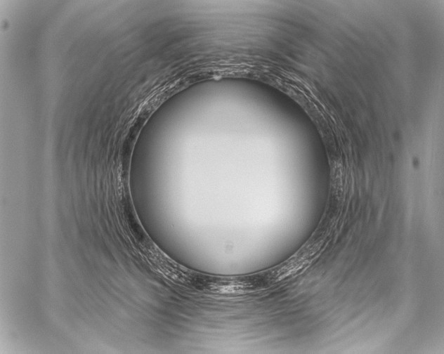 X0000059240564200510140823