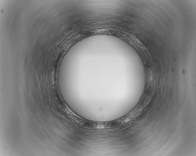 X0000059240565200510140823