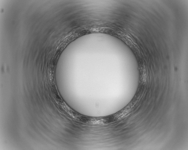 X0000059240569200510140823