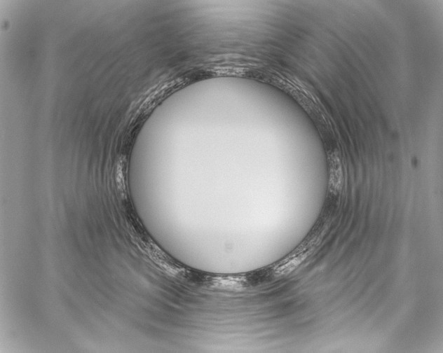 X0000059240573200510140823