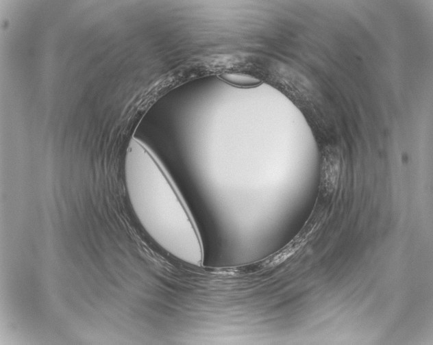 X0000059240574200510140823