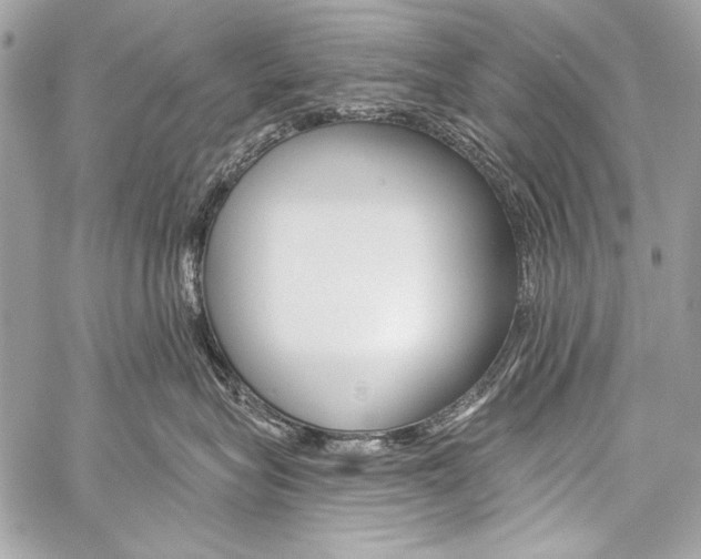 X0000059240575200510140823