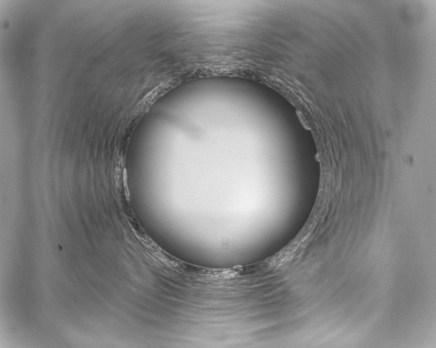 X0000059240576200510140823