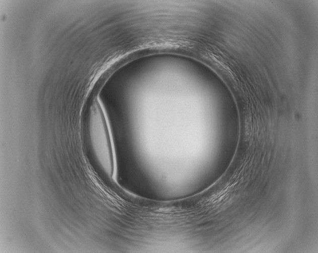 X0000059240584200510140822