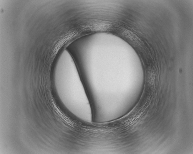 X0000059240586200510140822