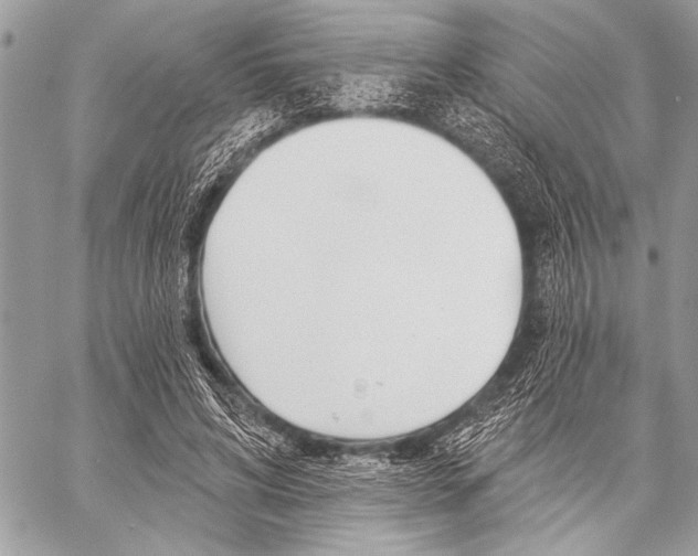 X0000059240592200510140822