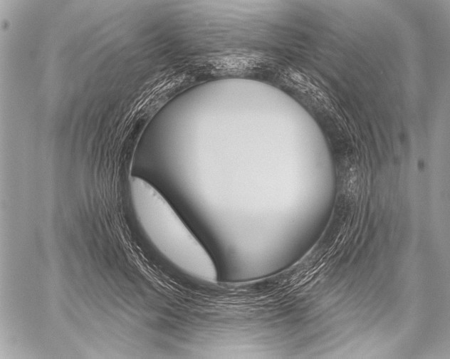 X0000059240599200510140822