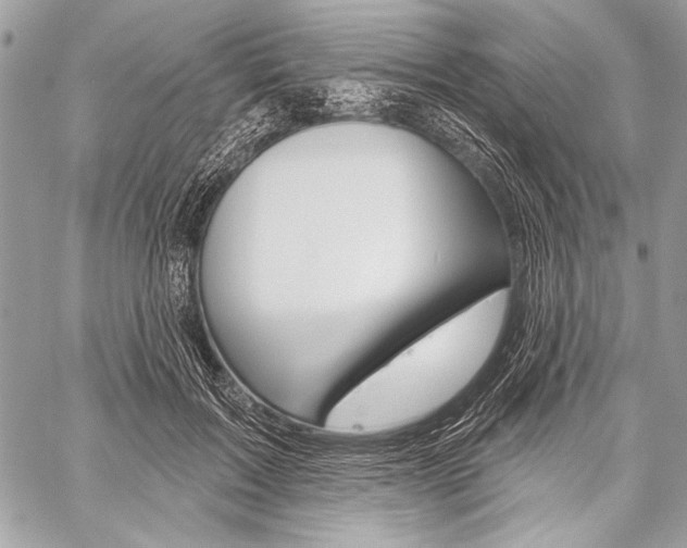 X0000059240603200510140822