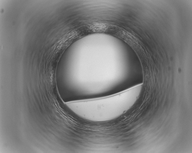 X0000059240604200510140822