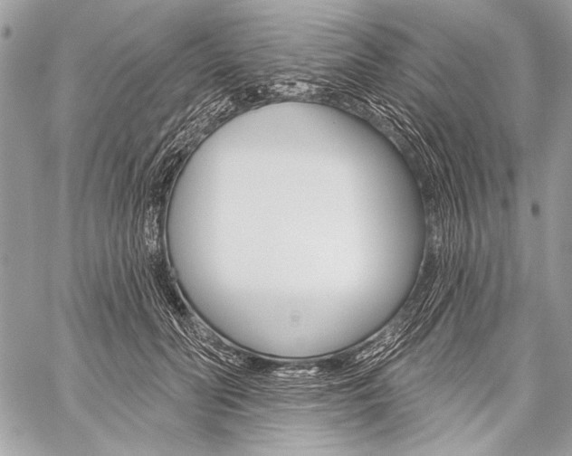 X0000059240606200510140822