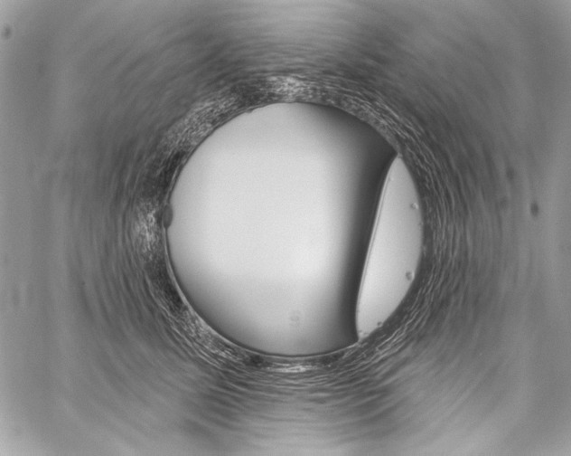 X0000059240611200510140822