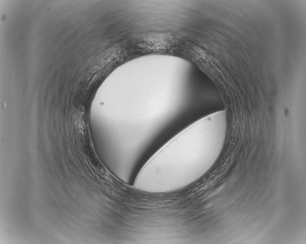 X0000059240612200510140822