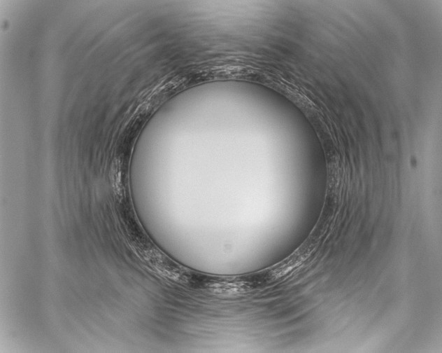 X0000059240615200510140822