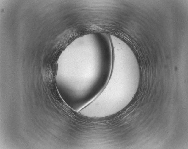 X0000059240617200510140822