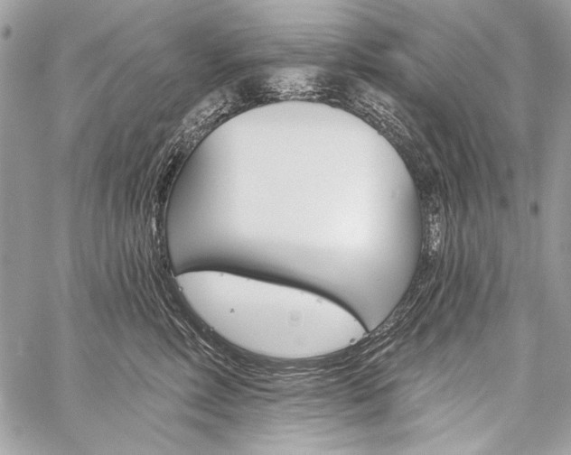 X0000059240618200510140822