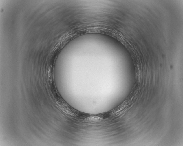 X0000059240619200510140822