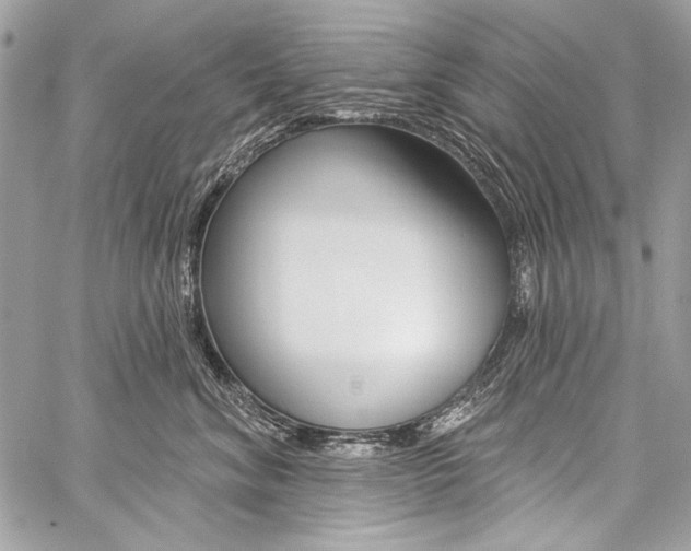 X0000059240620200510140822