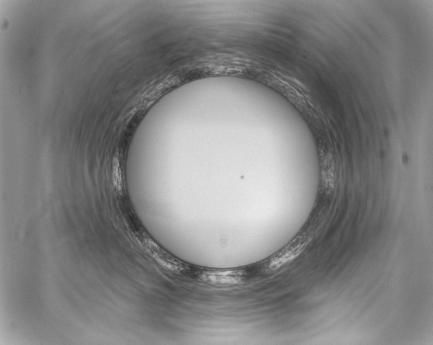 X0000059240622200510140822