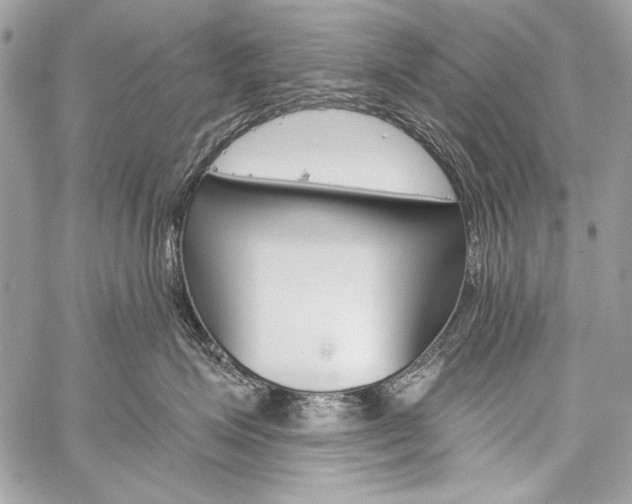 X0000059240623200510140822