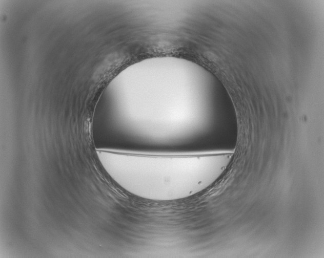 X0000059240624200510140822