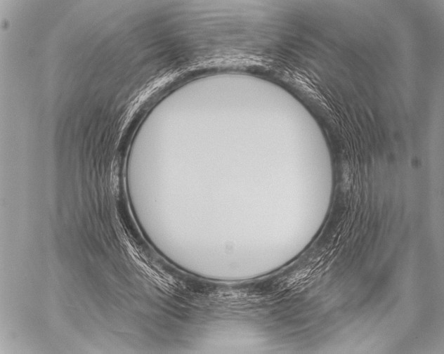 X0000059240632200510140821