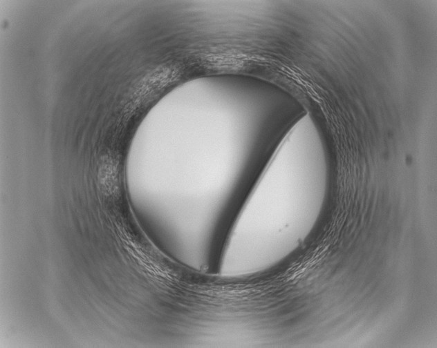 X0000059240641200510140821