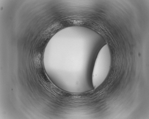 X0000059240650200510140821