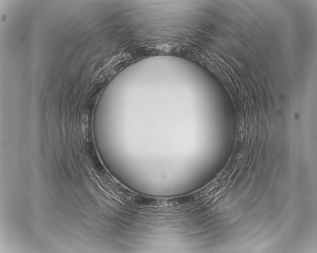 X0000059240656200510140821