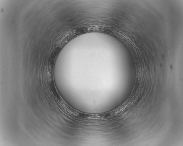 X0000059240661200510140821